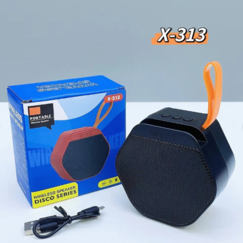 X-313 Portable bluetooth